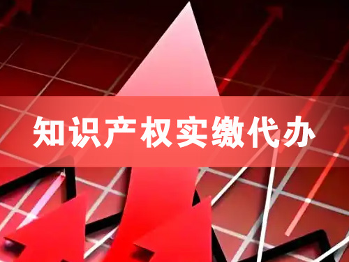 宁安知识产权实缴资本代办